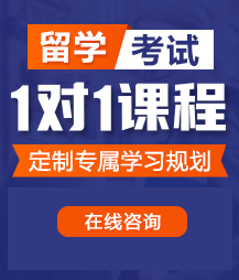 男人大鸡巴操女人小逼逼留学考试一对一精品课